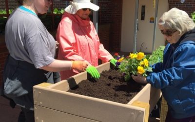 Residents’ Green Thumbs Make BOM Gardens Grow!
